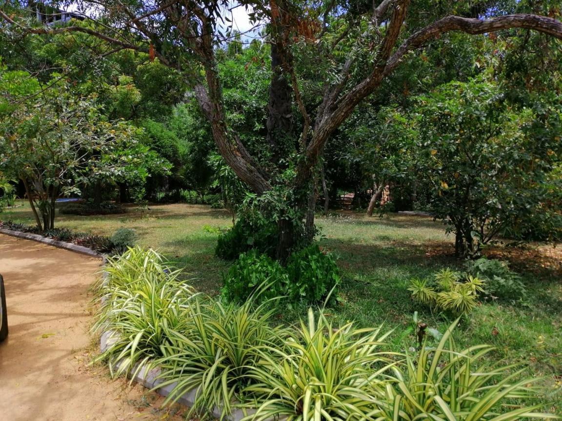 Sudunelum 2*